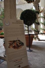 This tells visitors about the palazzo and the displays.