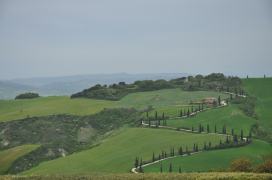 This is a designed road, and probably what many people imagine when they think of Tuscany.
